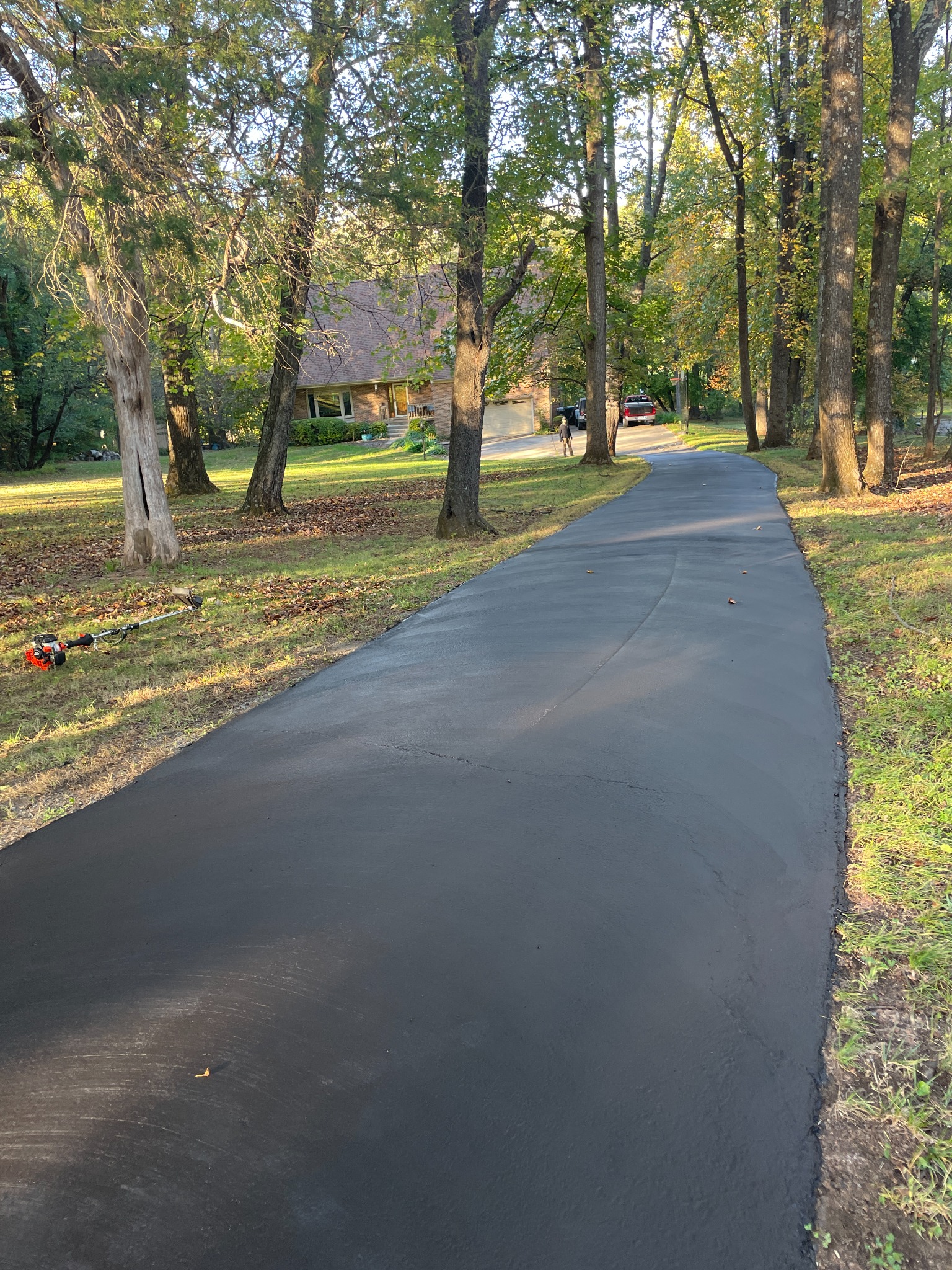 Wooded residential driveway